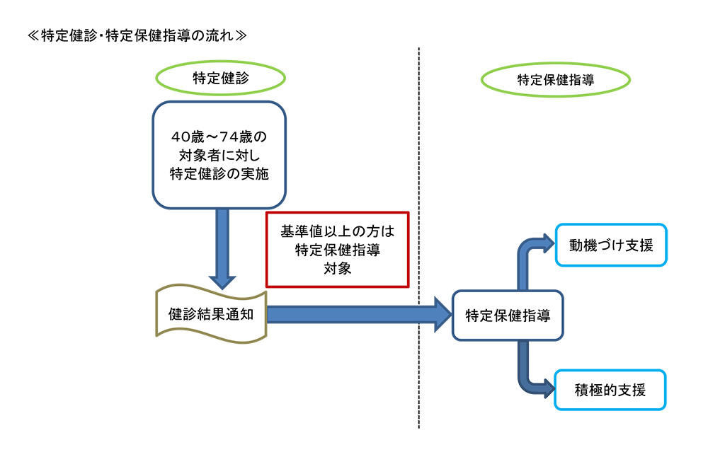 特定健診・特定保健指導の流れ図