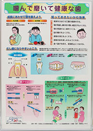 噛んで磨いて健康な歯