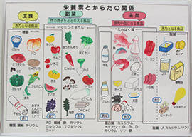 栄養素とからだの関係